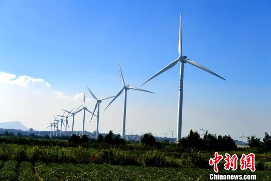 莆田沿海整齊的風(fēng)力發(fā)電設(shè)備?！⊥鯑|明 攝