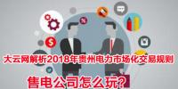 2018年貴州電力市場(chǎng)化交易規(guī)則解析 售電公司怎么玩？