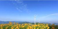浙江寧波寧海一市風(fēng)電場(chǎng)：要效益 更要綠色