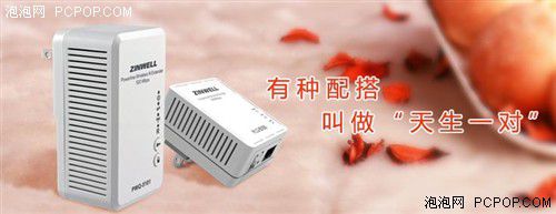 電力貓的版本眾多，從電力線傳輸技術(shù)上就可以分為HomePlug和G.hn，采用相同電力線通信技術(shù)的電力貓還可以分為有線電力貓和無線電力貓，而在無線電力貓中還有無線AP和無線路由的區(qū)別。外觀功能上的區(qū)別就更大了，以ZINWELL為例，就先后推出了單口有線電力貓，帶電源延長線的電力貓，多口有線電力貓，電力貓無線路由器，無線AP電力貓，帶電源插座的電力貓等。