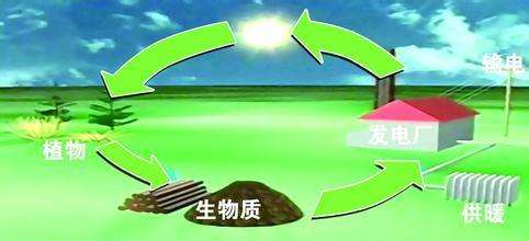 生物質(zhì)是替代核電、火電 彌補(bǔ)天然氣缺口的一種重要新能源