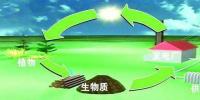 生物質(zhì)是替代核電、火電 彌補(bǔ)天然氣缺口的一種重要新能源