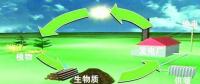 生物質(zhì)是替代核電、火電 彌補(bǔ)天然氣缺口的一種重要新能源