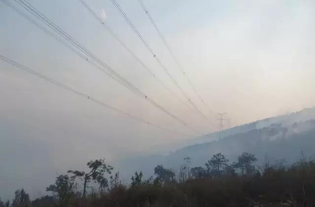聽說最近輸電線路和鐵塔“火”啦！