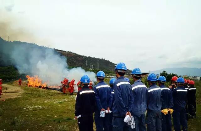 聽說最近輸電線路和鐵塔“火”啦！