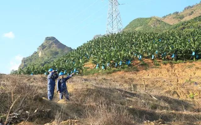 聽說最近輸電線路和鐵塔“火”啦！