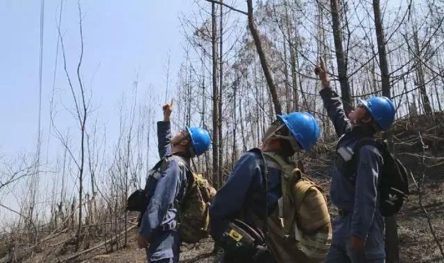 聽說最近輸電線路和鐵塔“火”啦！