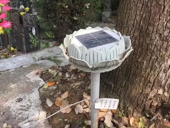 墓地傳來(lái)哭聲 周圍卻沒(méi)有人影 清明節(jié)你被光伏嚇著了嗎？