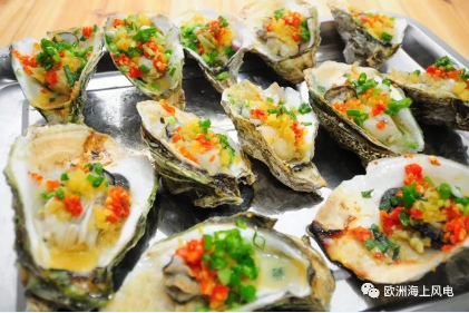 維斯塔斯海上風(fēng)機(jī)搞創(chuàng)新：居然還用到生蠔！