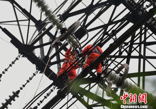 圖為電力工人在70多米高空作業(yè)，為特高壓復(fù)奉線重慶段進行八年來首次大修?！≈芤?攝