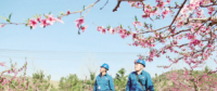 世界一流能源互聯(lián)網(wǎng)企業(yè)怎么建？國(guó)網(wǎng)已簽訂39個(gè)增量配電試點(diǎn)項(xiàng)目合作意向書(shū)
