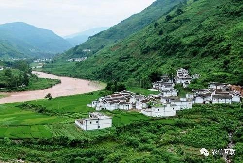 移動互聯(lián)網(wǎng)走進農(nóng)村，推動農(nóng)業(yè)產(chǎn)業(yè)的智慧化轉型升級 