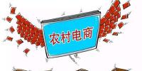 中國農(nóng)村電商市場現(xiàn)狀及<font color=