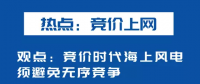海上風(fēng)電如何應(yīng)對(duì)競(jìng)價(jià)上網(wǎng)、大功率研發(fā)、事故風(fēng)險(xiǎn)？