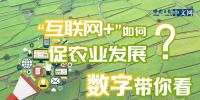 “互聯(lián)網(wǎng)+”如何促農(nóng)業(yè)發(fā)展？數(shù)字帶你看