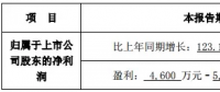 隆基、晶科齊發(fā)聲 “531”利大于弊？