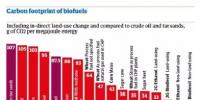 【數(shù)據(jù)】各種生物燃料能否減少碳排放？有的可以 有的卻比石油排放還高!