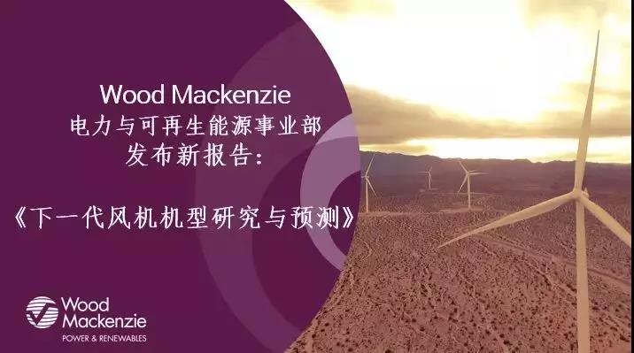 12-15MW+！歐洲“零補貼”海上風(fēng)場項目開發(fā)主要選型