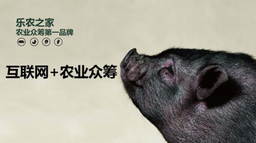 互聯(lián)網(wǎng)+農(nóng)業(yè)眾籌只賺吆喝 利潤全被用戶拿走了？