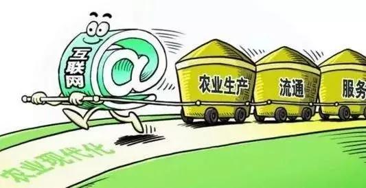 2018年農(nóng)村電商巨頭卡位戰(zhàn)：互聯(lián)網(wǎng)+農(nóng)業(yè)新玩法！
