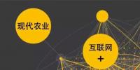 如何用“互聯(lián)網+”重塑農業(yè)競爭優(yōu)勢？