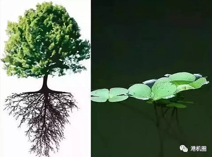 插樁式、坐底式 詳解海上風(fēng)電安裝平臺(tái)的作業(yè)方式