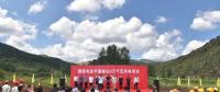 投資4.1億元！平遙建設(shè)風(fēng)力發(fā)電群