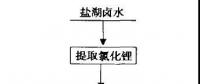 碳酸鋰“價格失火” 是否會 “殃及”金屬鋰？