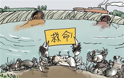 上游污水“毒死”萬畝大閘蟹，誰擔其責？