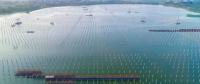 泗洪光伏發(fā)電應(yīng)用領(lǐng)跑基地2、4號漁光互補項目建設(shè)紀實