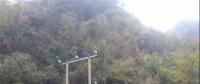 湖北整治關(guān)停100多座小水電站 , 其中宜昌48座、神農(nóng)架林區(qū)21座、恩施20座