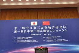 安倍晉三訪華 協(xié)鑫、天合和晶科為光伏行業(yè)長(zhǎng)臉了！