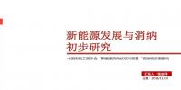 國(guó)家電網(wǎng)：新能源發(fā)展與消納初步研究