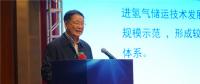 中國能源研究會(huì)副秘書長(zhǎng)王凡：截止到2018年7月 我國有近20座城市規(guī)劃和布局發(fā)展氫能與燃料電池產(chǎn)業(yè)