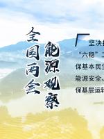 讀圖｜2020政府工作報告中這些內(nèi)容，和能源電力有關(guān)！