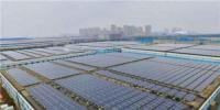 國(guó)內(nèi)最大自發(fā)自用平價(jià)上網(wǎng)的屋頂<font color=