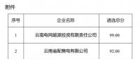 2025年云南電力市場保底售電公司候選名單公示！
